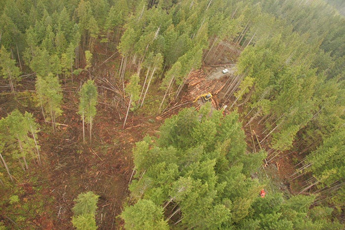 An aerial view of an excavator moving timber in a forest cutblock on Vancouver Island.