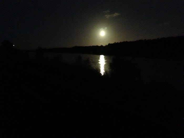 Picture of the moon rising above Schulz canal. taken at night on a phone with a shaky hand.