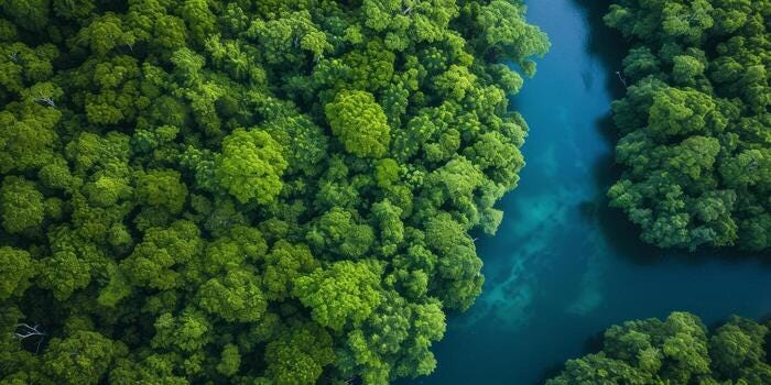 Simulating Ecosystem Balance with Python: An Interactive Model for Sustainable Resource Management