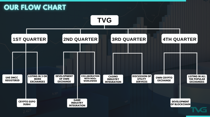 Roadmap Of TVG
