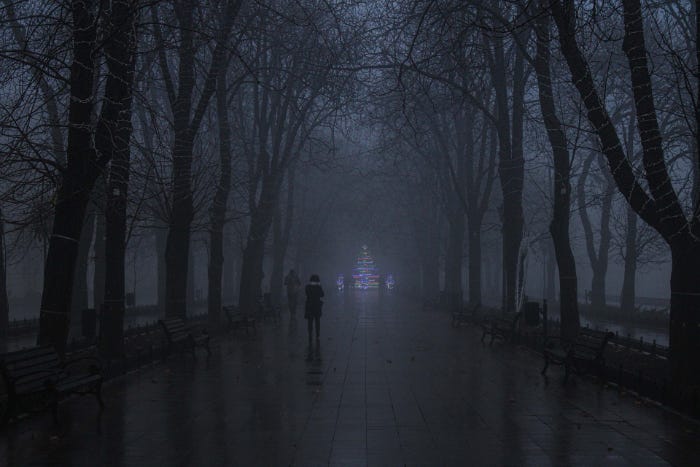 Two figures walking in a tree lined foggy park.