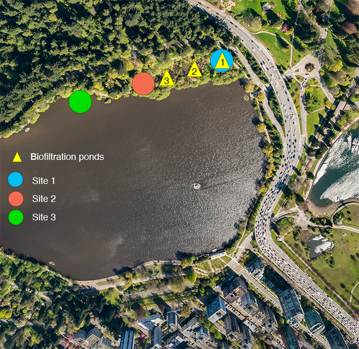 Aerial photo of Lost Lagoon showing locations of biofiltration ponds and water sampling sites.