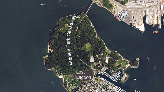 Aerial photo of Stanley Park featuring Lost Lagoon and the causeway.
