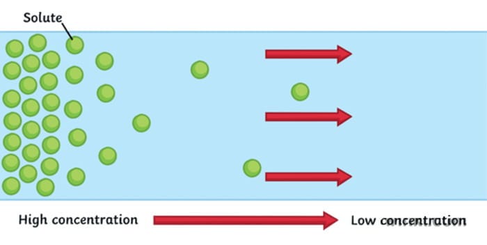 Visual representation of Diffusion