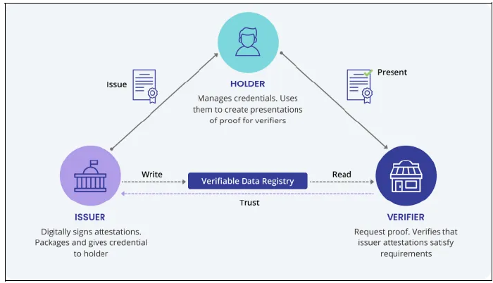 Developing an ACA-Py Adapter to Support Various Ledger in Self-Sovereign Identity(SSI)
