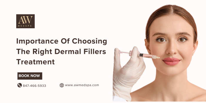 Importance of Choosing the Right Dermal Fillers Treatment