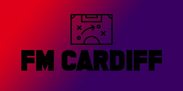 FM19: Cardiff City