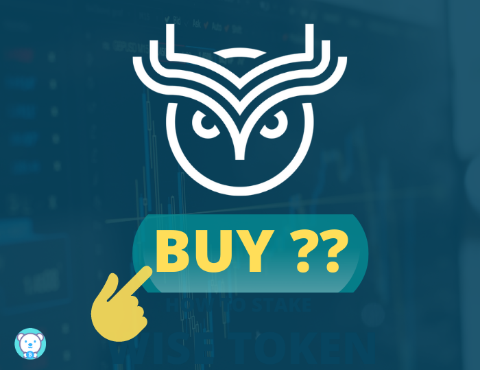 Buy WISE Token — Is WISE Token an investment case for me