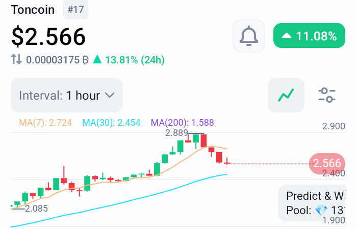 What Recently Happened to Toncoin and the The Open Network?