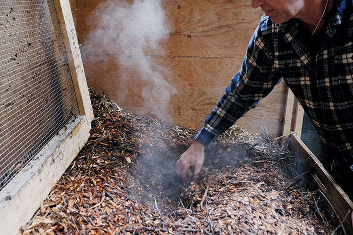 A puff of steam rising from a pile of wood chips in a plywood crate. A man wearing a blue checkered shirt sifts through the wood chips with his hand.