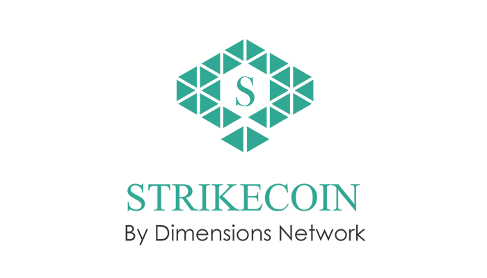 Image result for dimension network ico
