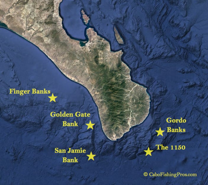 Best Cabo Fishing Locations