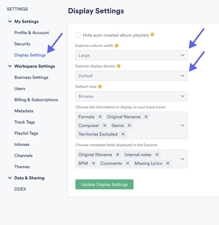 Screenshot showing Display settings inside DISCO