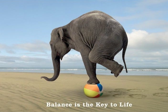 an elephant trying to balance on a colorful ball at the beach