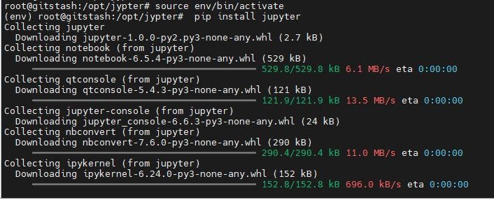 install jupyter notebook