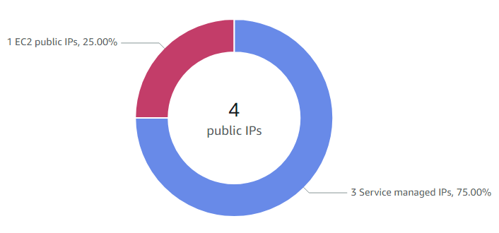 AWS Public IP Insights