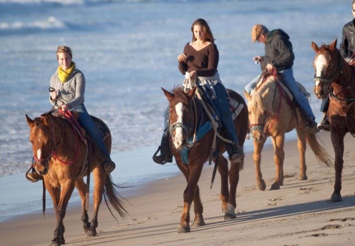 Where To Go Horse Back Riding In San The Website Another Side Of San Go Tours Suggests Either Horseback Riding Along Beach Or A Trail Ride