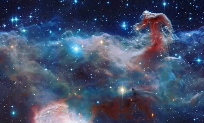 The Missing Force in the Universe: From the Human Brain to the Farthes The Missing Force in the Universe: From the Human Brain to the Farthes