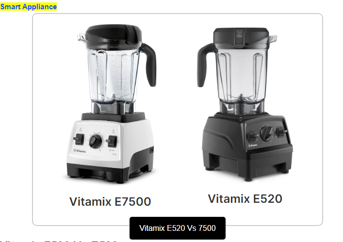 Vitamix E520 vs. 7500: The Key Differences