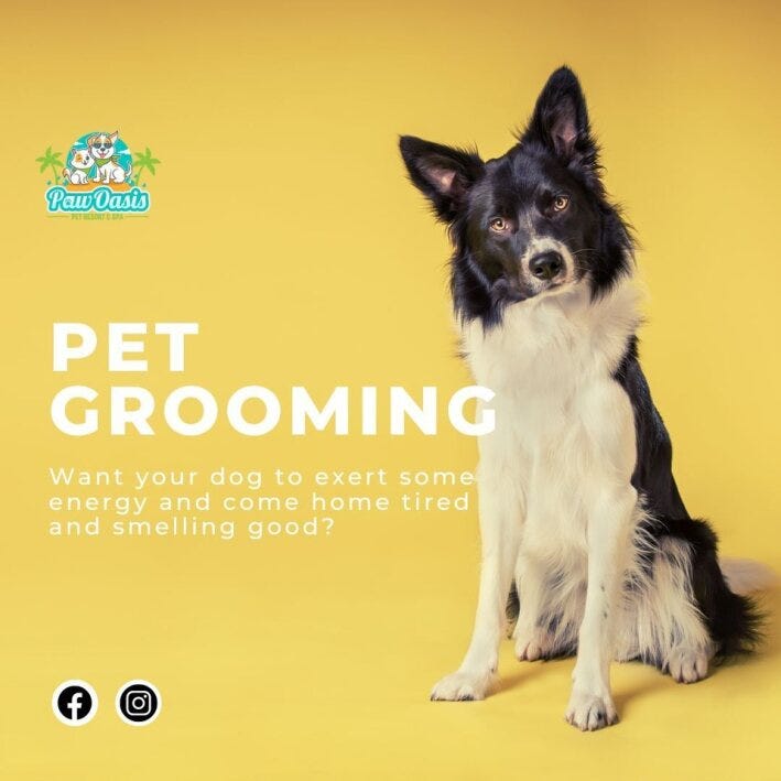 Pet grooming in Frisco