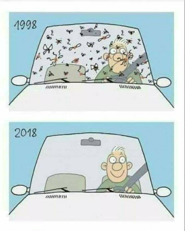 În 1998 erau insecte moarte pe parbriz. În 2018 nu sunt insecte moarte pe parbriz.