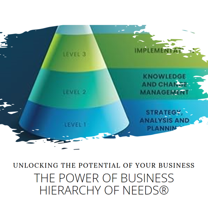 The Business Hierarchy of Needs®