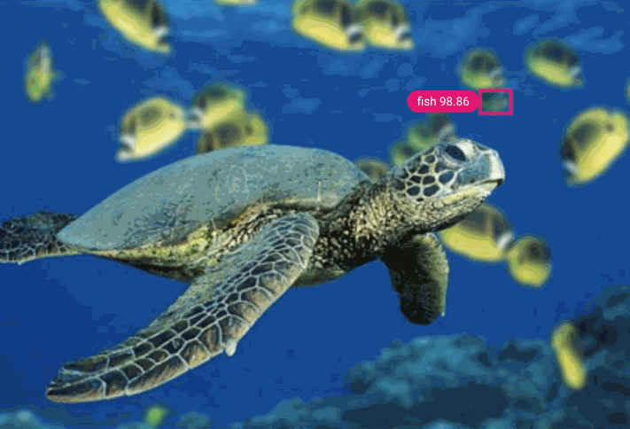 GIF of a green turtle underwater with many yellow fish in the background as an object detection model predicts multiple class labels