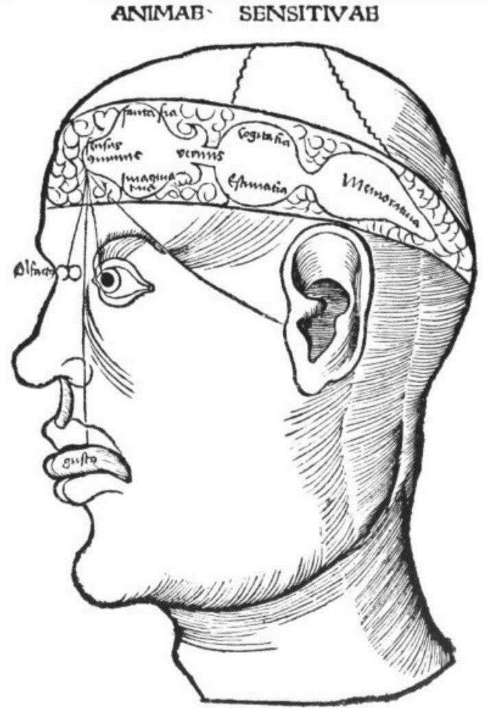 Thomas Aquinas Chamber Theory: sensus communis and etc.