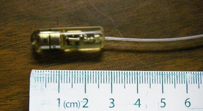 a small tube-shaped tag with a wire coming out of it