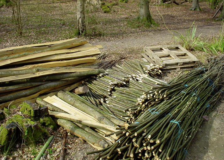 Coppice products, agroforestry, permaculture, woody crops