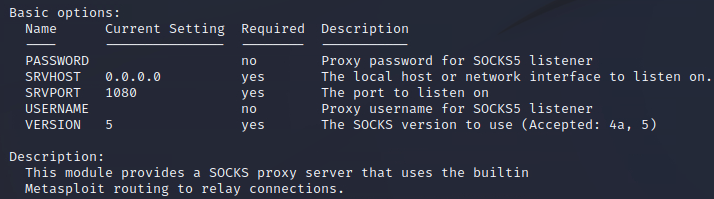 Leaving SRVHOST with 0.0.0.0 as the IP will cause the Socks Proxy to listen on all addresses in the session.