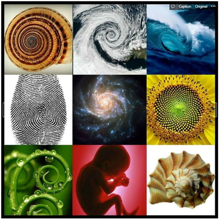 Imagem divida em 9 partes, onde cada quadrado possui uma imagem com a representação da sequencia de Fibonacci