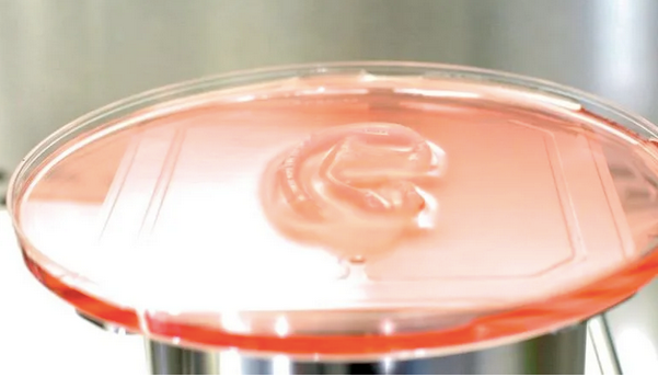 Image source: 3D Bio Therapeutics, World’s first 3D bioprinted live ear