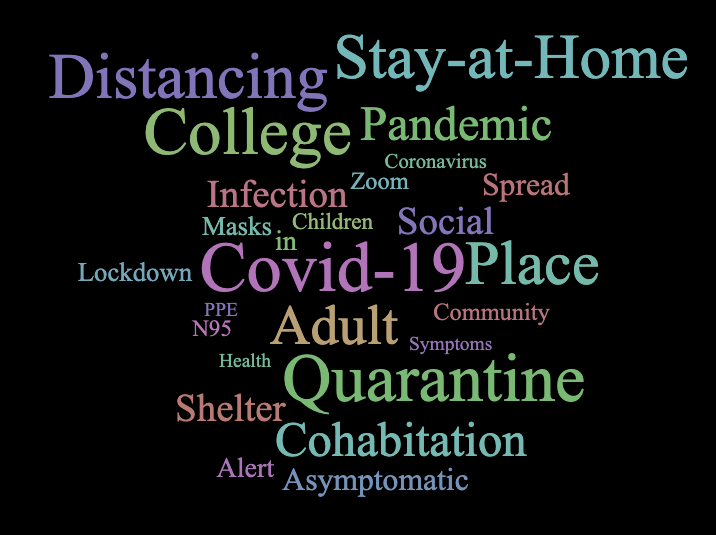 Pandemic Article Word Cloud