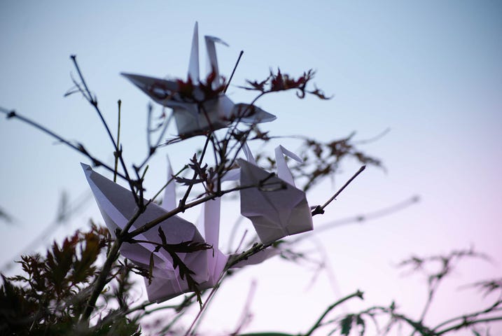 Paper cranes resting in a tree with a beautiful blue-pink sky in the background.