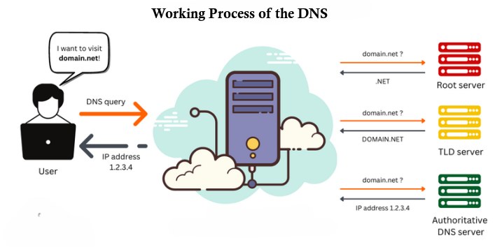 Understanding the Working Process and Types of Domains and Domain Servers