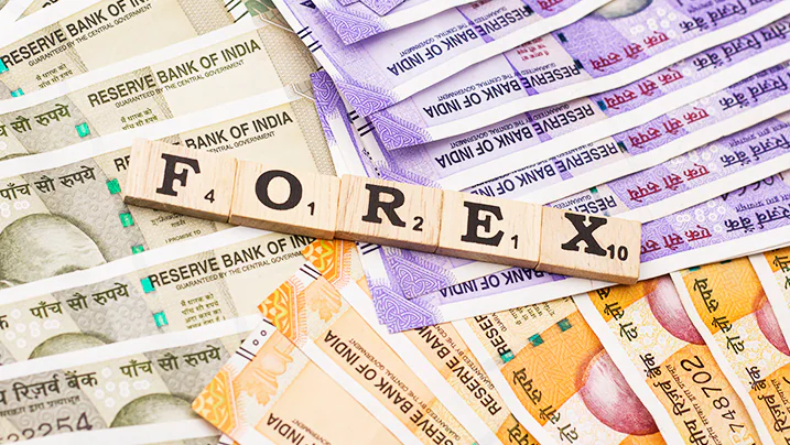 Is Forex Trading in India profitable