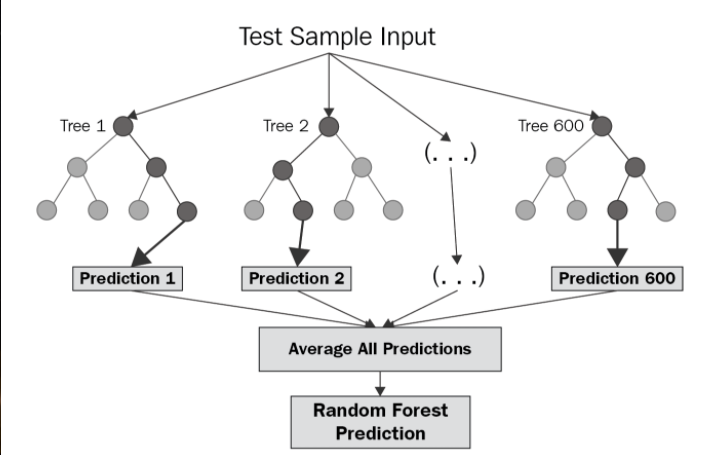 Image random forest