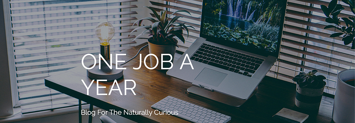 Check out the One Job A Year blog!