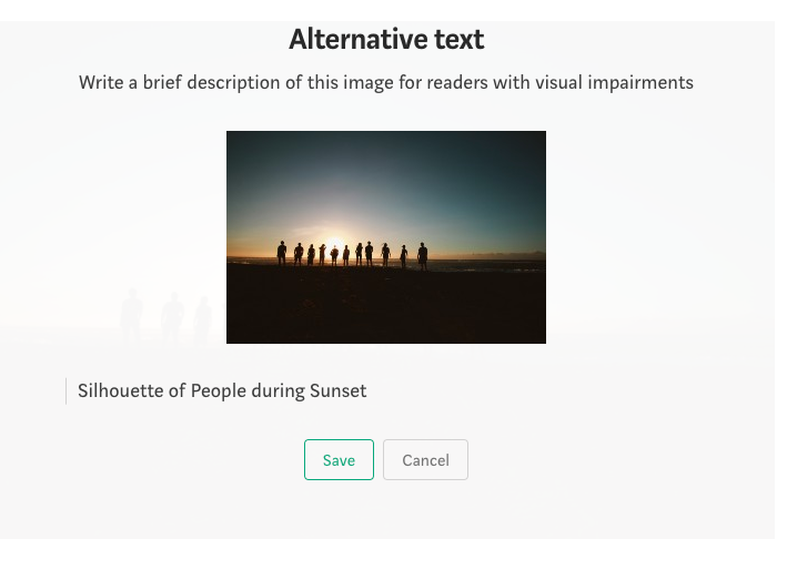 Screenshot of Alternative text input box for image.