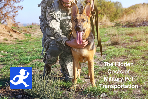 Why My Dog Can’t Fly Free: The Hidden Costs of Military Pet Transportation