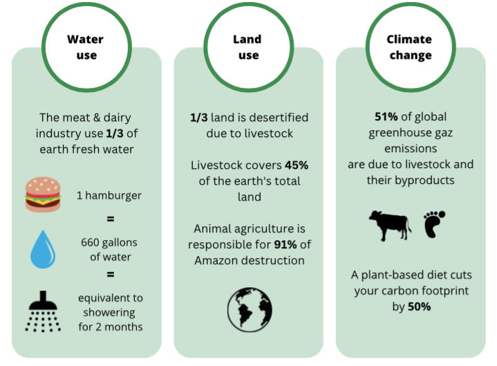 Brief infographic on the impact of meat industry worldwide made by Enola Boyer thanks to sources derived from cowspiracy.com.