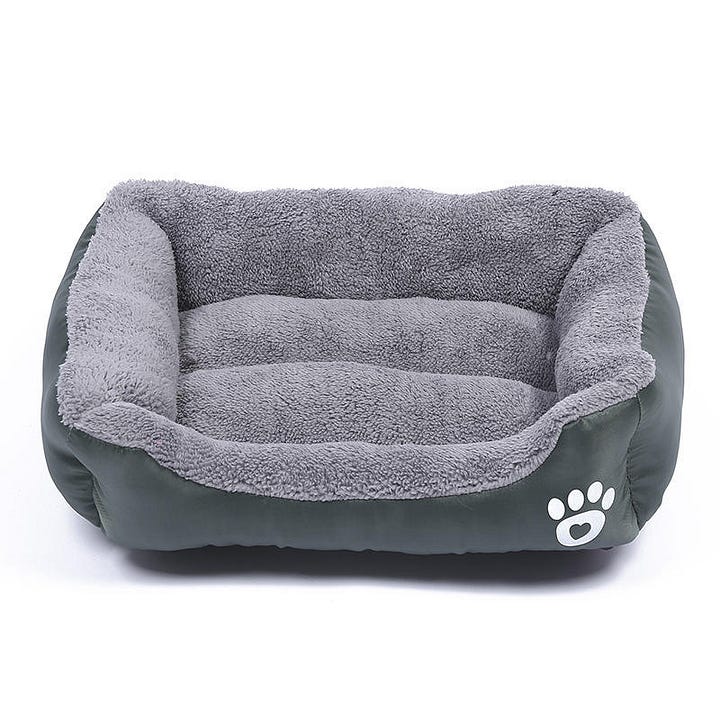 Best Dog Beds for Every Pup’s Special Needs