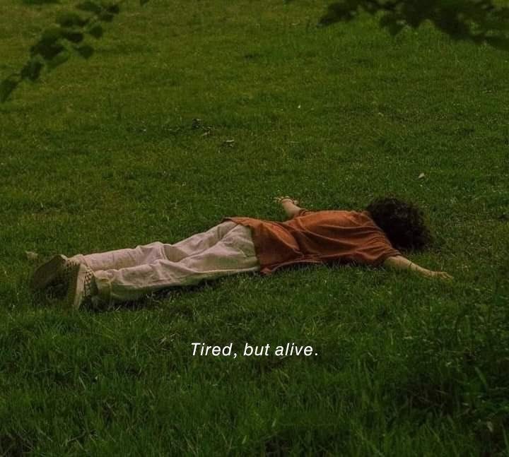 i have fallen
to where I have fallen, i ask myself