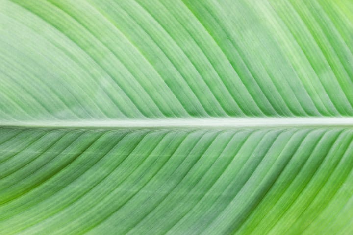 solar panels made with ridges like leaves.