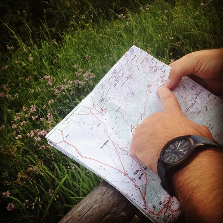 Man’s hand pointing to map with wildflowers in background.