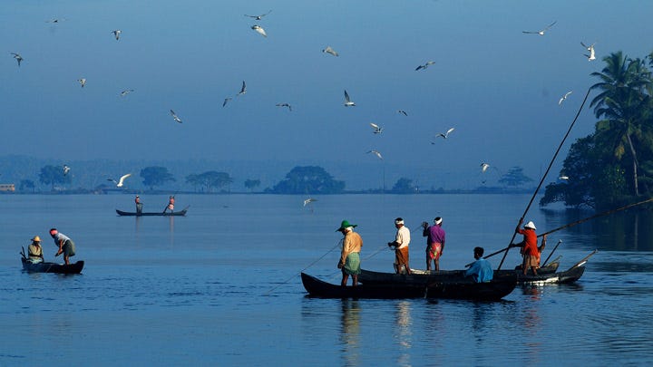 Cherai Backwaters