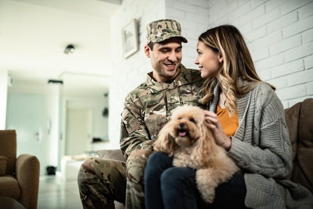 Best Practices for Managing a Multi-Pet PCS Move: Tips For Military Families