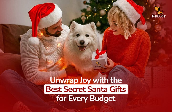 Unwrap Joy with the Best Secret Santa Gifts for Every Budget