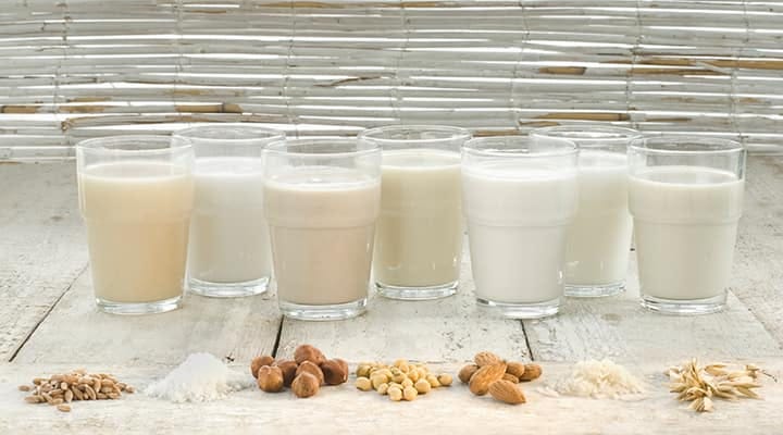 Popular plant based milks